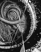 Spring Tooth Hay Rake Abstract Black and White